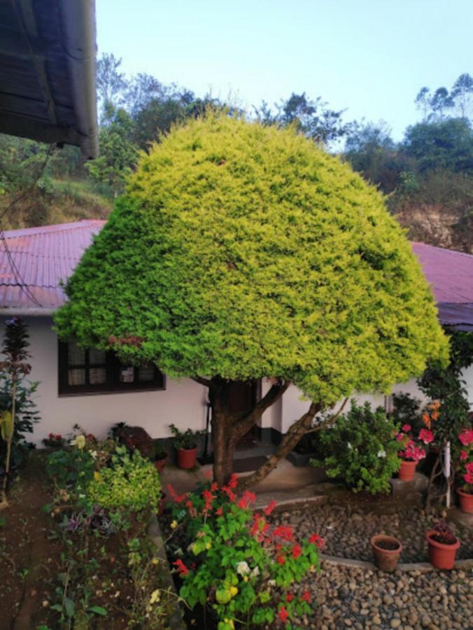 Rheinberg Town Haus Hotel Munnar Exterior foto